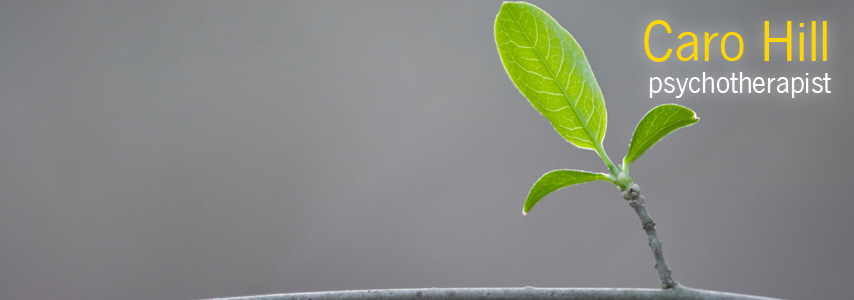 Caro Hill, Psychotherapist