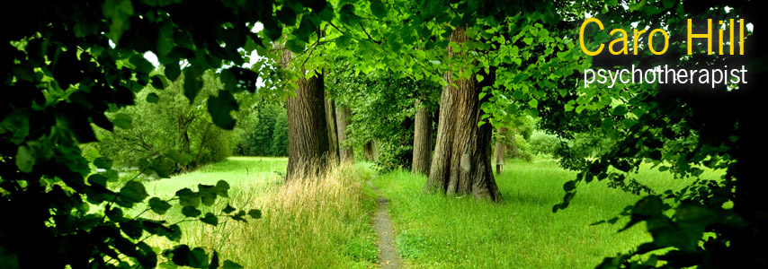 Caro Hill, Psychotherapist